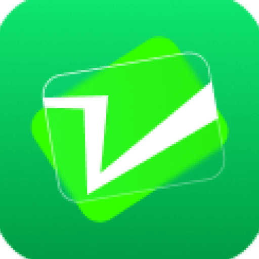 VipPay